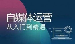 怎样发布爆料视频赚钱快,如何通过发布爆料视频轻松盈利