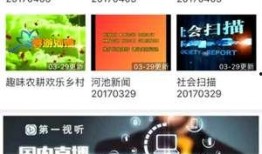 广西河池新闻爆料视频大全,聚焦民生热点，展现社会万象